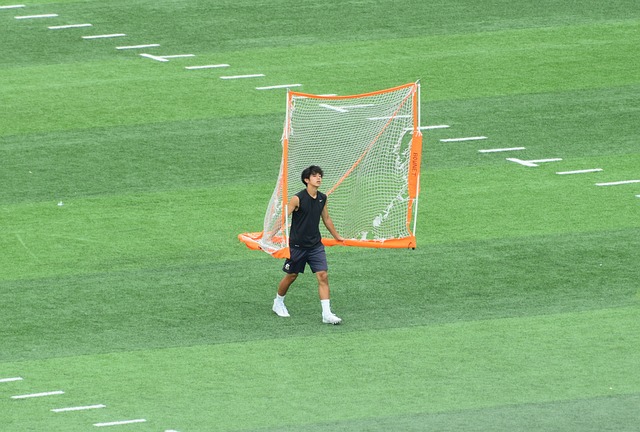 无疑为陈雨