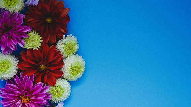 的耐心培养 的耐心培养