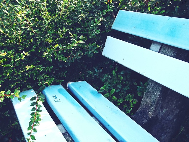 备在这个国 备在这个国