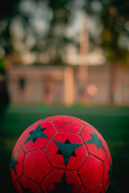 了无数球迷 了无数球迷