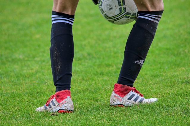 的进攻奠定 的进攻奠定